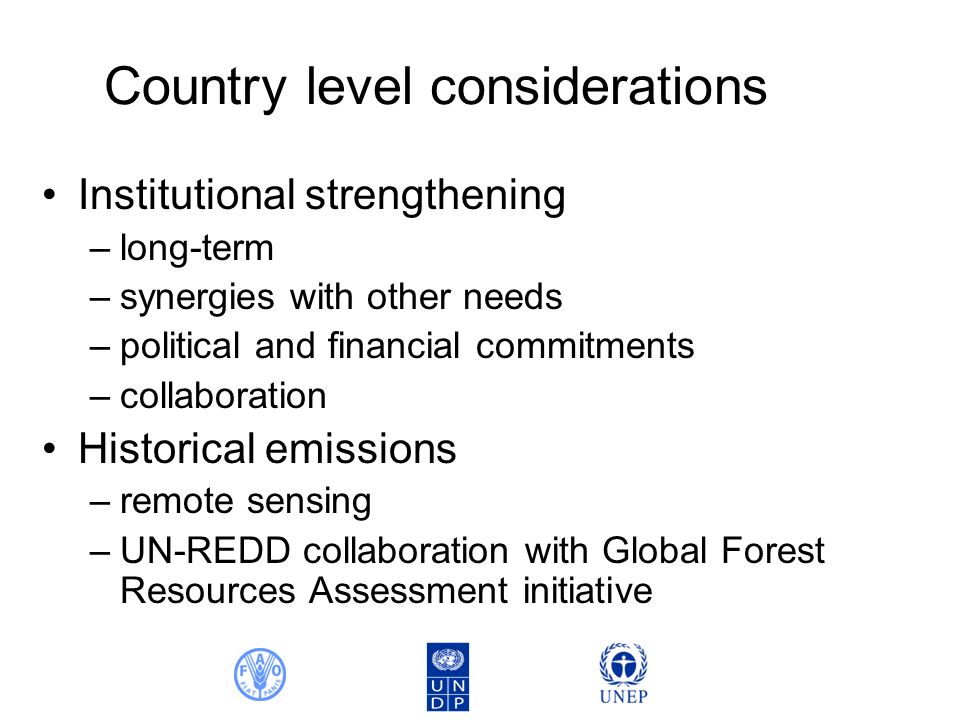 Country level considerations Institutional strengthening –long-term –synergies with other needs –political and financial commitments –collaboration Historical emissions –remote sensing –UN-REDD collaboration with Global Forest Resources Assessment initiative