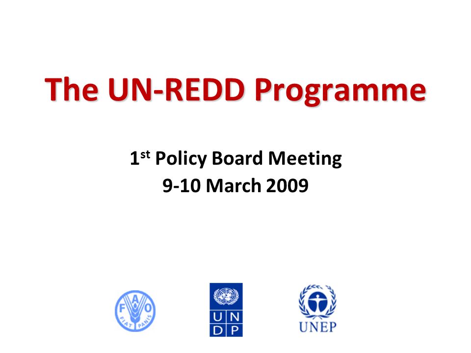 The UN-REDD Programme 1 st Policy Board Meeting 9-10 March 2009