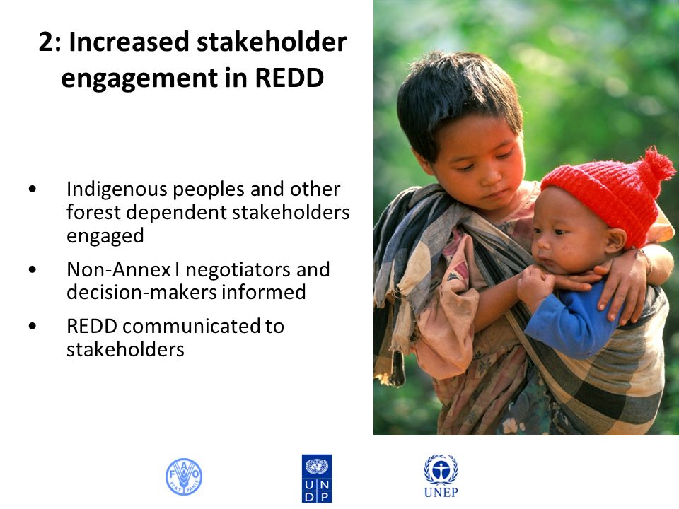 2: Increased stakeholder engagement in REDD Indigenous peoples and other forest dependent stakeholders engaged Non-Annex I negotiators and decision-makers informed REDD communicated to stakeholders