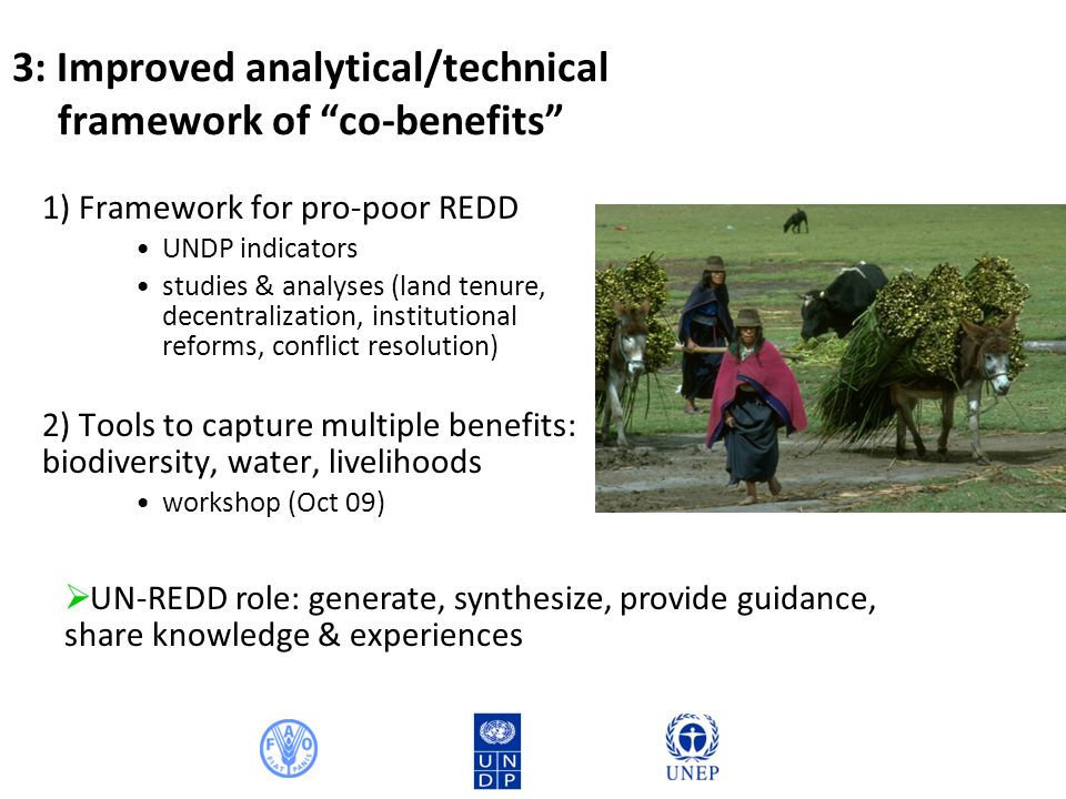 3: Improved analytical/technical framework of co-benefits 1) Framework for pro-poor REDD UNDP indicators studies & analyses (land tenure, decentralization, institutional reforms, conflict resolution) 2) Tools to capture multiple benefits: biodiversity, water, livelihoods workshop (Oct 09) UN-REDD role: generate, synthesize, provide guidance, share knowledge & experiences