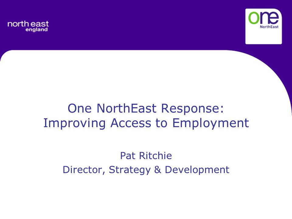 One NorthEast Response: Improving Access to Employment Pat Ritchie Director, Strategy & Development