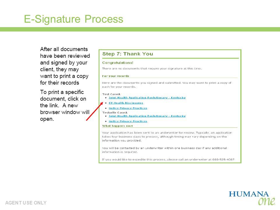 AGENT USE ONLY E-Signature Process