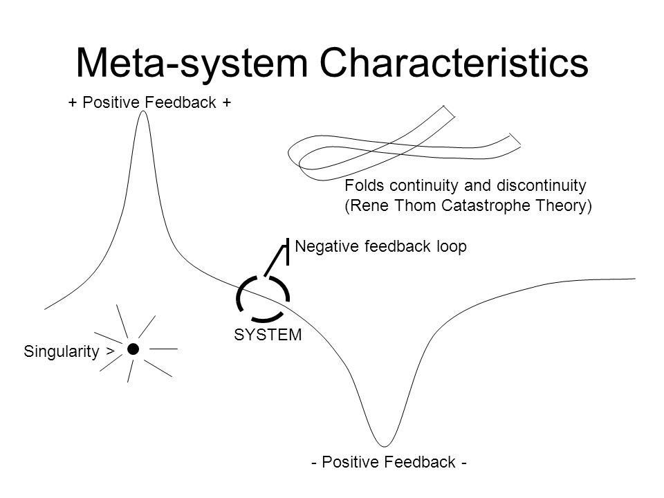 Meta-system Characteristics + Positive Feedback + - Positive Feedback - SYSTEM Negative feedback loop Singularity > Folds continuity and discontinuity (Rene Thom Catastrophe Theory)