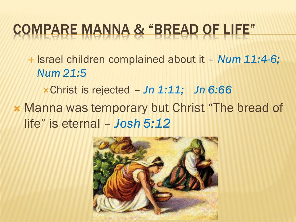 Israel children complained about it – Num 11:4-6; Num 21:5 Christ is rejected – Jn 1:11; Jn 6:66 Manna was temporary but Christ The bread of life is eternal – Josh 5:12