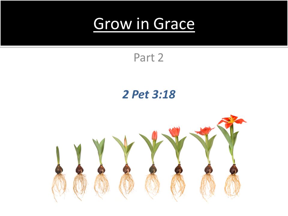 Grow in Grace Part 2 2 Pet 3:18