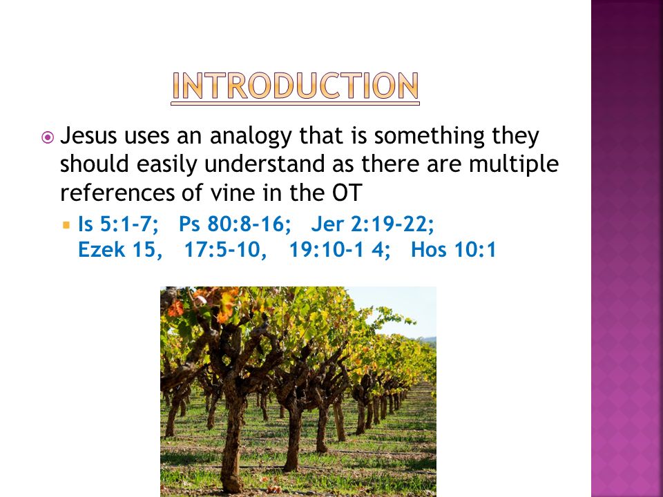 Jesus uses an analogy that is something they should easily understand as there are multiple references of vine in the OT Is 5:1-7; Ps 80:8-16; Jer 2:19-22; Ezek 15, 17:5-10, 19:10-1 4; Hos 10:1