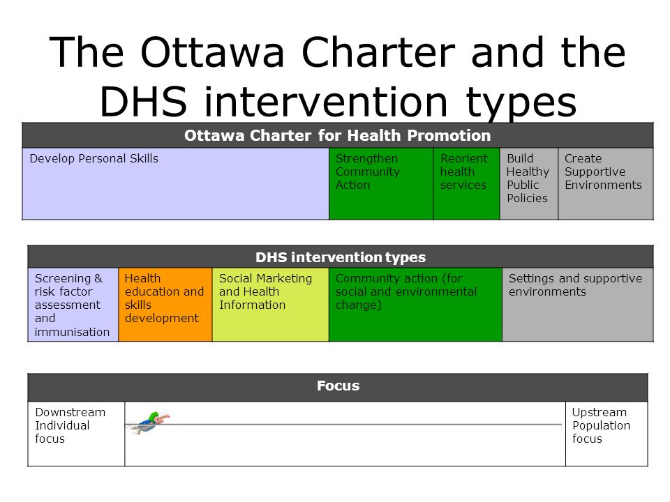 The Ottawa Charter and the DHS intervention types DHS intervention types Screening & risk factor assessment and immunisation Health education and skills development Social Marketing and Health Information Community action (for social and environmental change) Settings and supportive environments Ottawa Charter for Health Promotion Develop Personal SkillsStrengthen Community Action Reorient health services Build Healthy Public Policies Create Supportive Environments Focus Downstream Individual focus Upstream Population focus