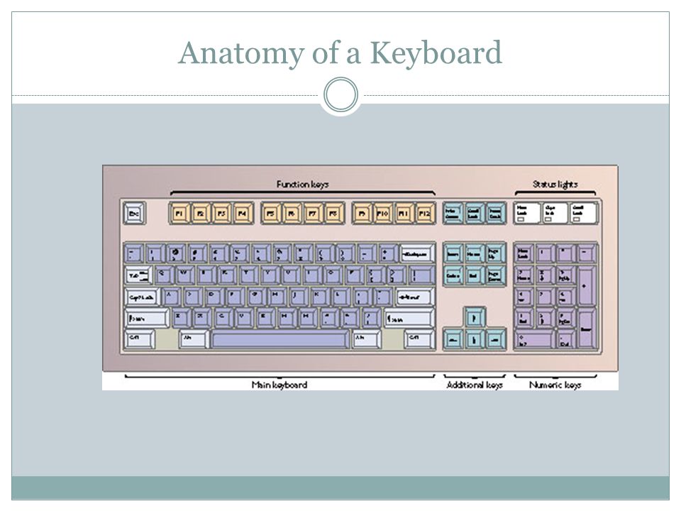 Anatomy of a Keyboard