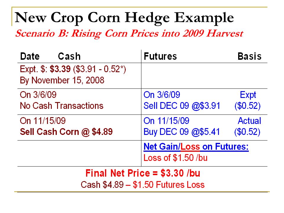 New Crop Corn Hedge Example Scenario B: Rising Corn Prices into 2009 Harvest