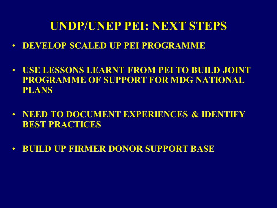 UNDP/UNEP PEI: NEXT STEPS DEVELOP SCALED UP PEI PROGRAMME USE LESSONS LEARNT FROM PEI TO BUILD JOINT PROGRAMME OF SUPPORT FOR MDG NATIONAL PLANS NEED TO DOCUMENT EXPERIENCES & IDENTIFY BEST PRACTICES BUILD UP FIRMER DONOR SUPPORT BASE
