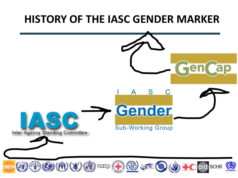HISTORY OF THE IASC GENDER MARKER