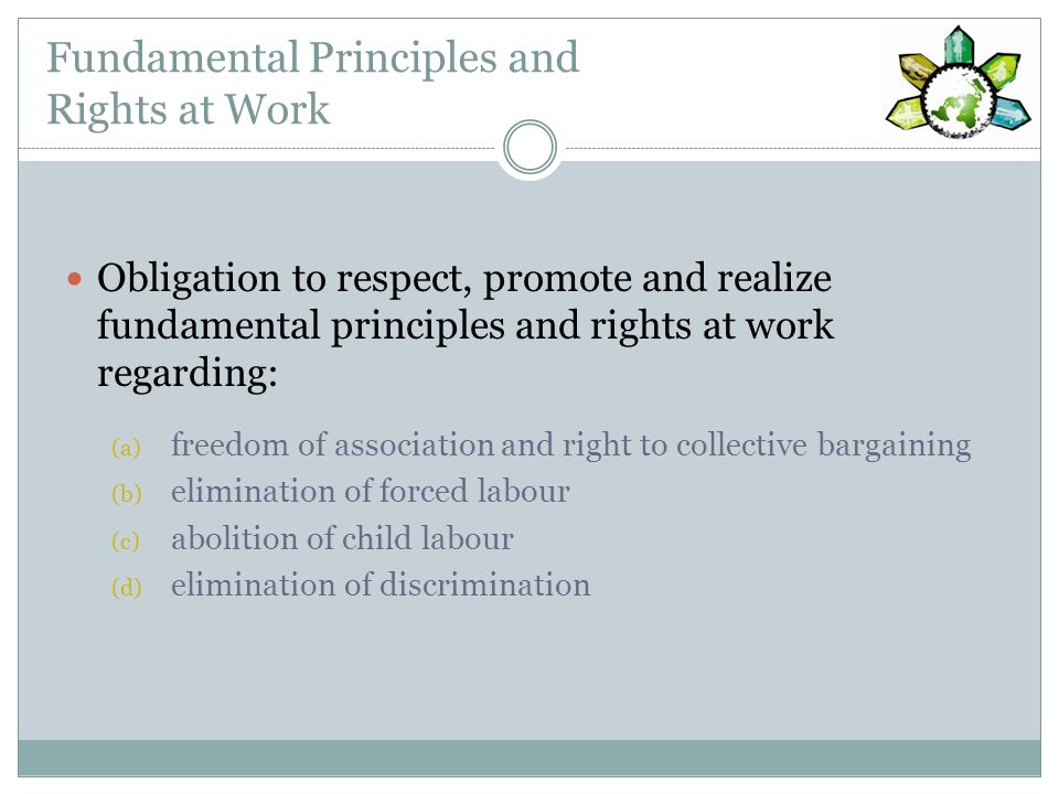 Fundamental Principles and Rights at Work Obligation to respect, promote and realize fundamental principles and rights at work regarding: (a) freedom of association and right to collective bargaining (b) elimination of forced labour (c) abolition of child labour (d) elimination of discrimination