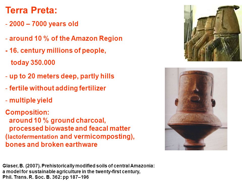 Terra Preta: – 7000 years old - around 10 % of the Amazon Region - 16.