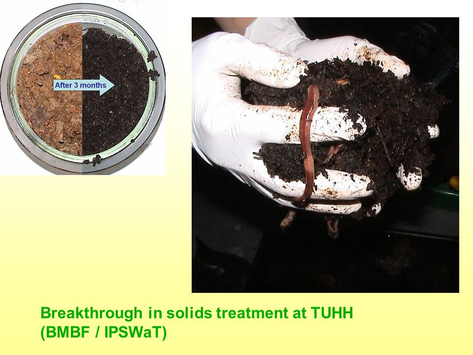 Breakthrough in solids treatment at TUHH (BMBF / IPSWaT)
