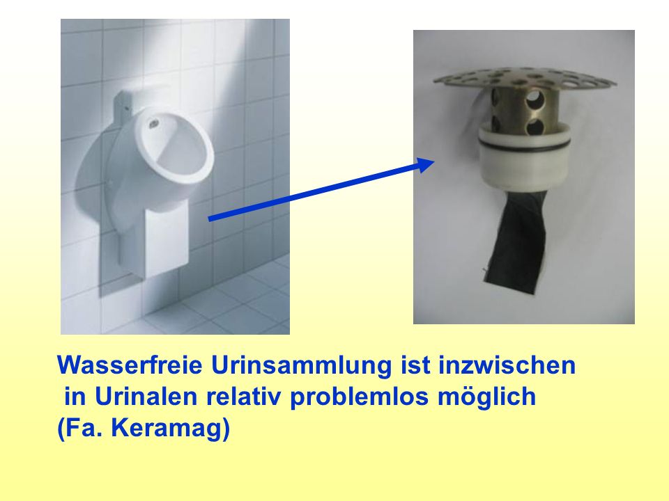 Wasserfreie Urinsammlung ist inzwischen in Urinalen relativ problemlos möglich (Fa. Keramag)