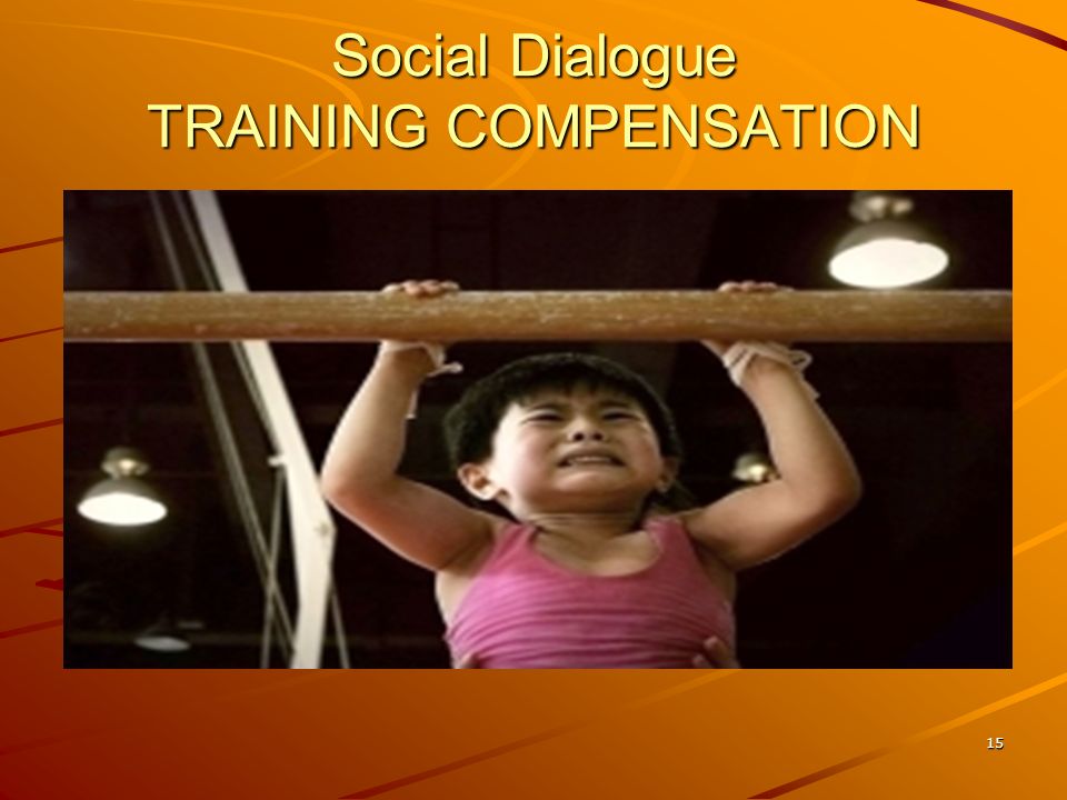 15 Social Dialogue TRAINING COMPENSATION