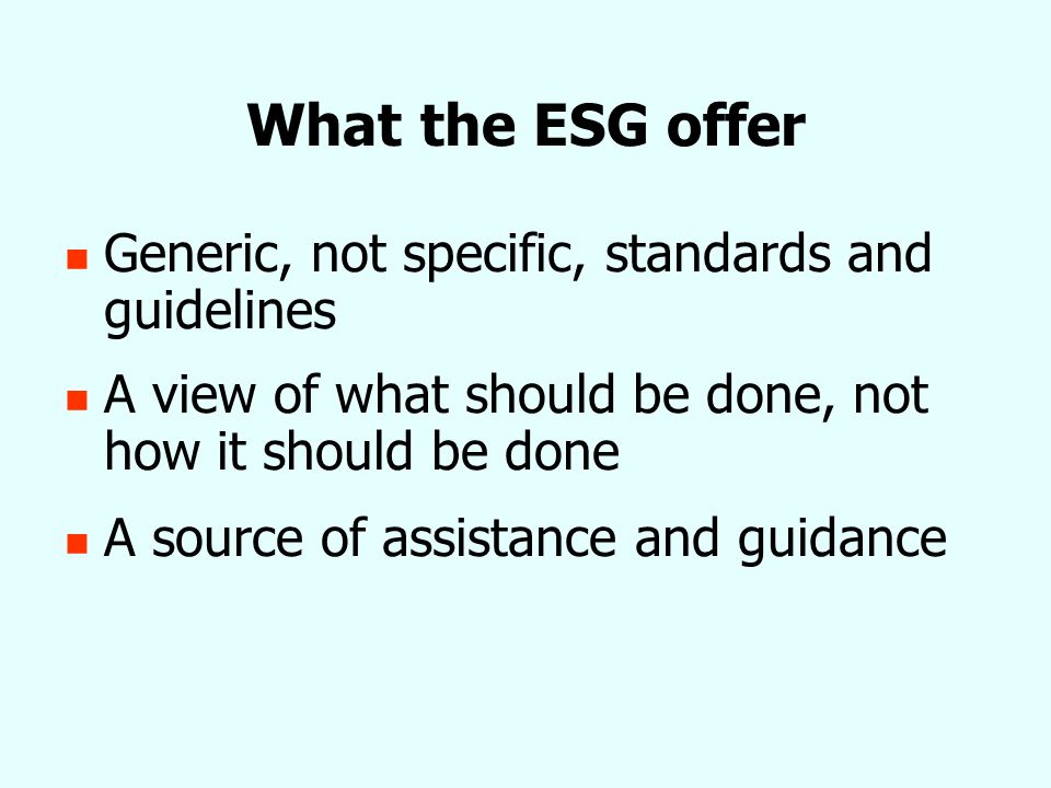 What the ESG offer Generic, not specific, standards and guidelines A view of what should be done, not how it should be done A source of assistance and guidance