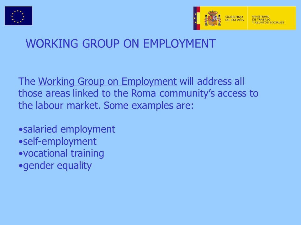 WORKING GROUP ON EMPLOYMENT The Working Group on Employment will address all those areas linked to the Roma communitys access to the labour market.