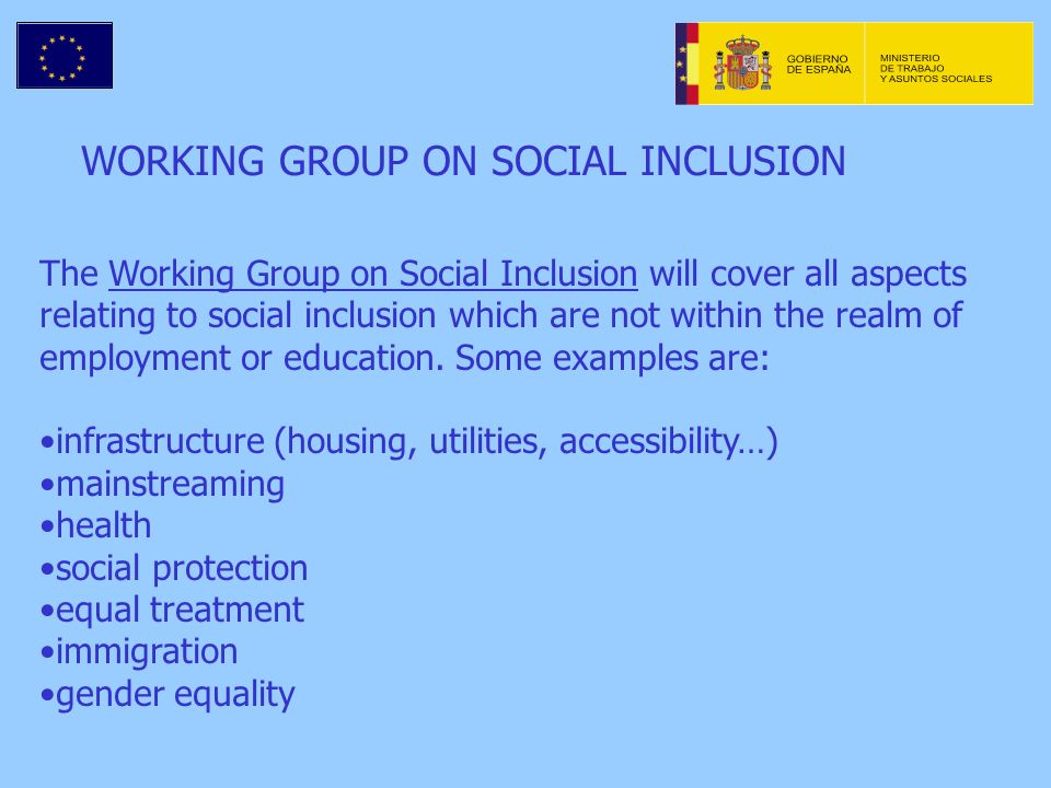 WORKING GROUP ON SOCIAL INCLUSION The Working Group on Social Inclusion will cover all aspects relating to social inclusion which are not within the realm of employment or education.
