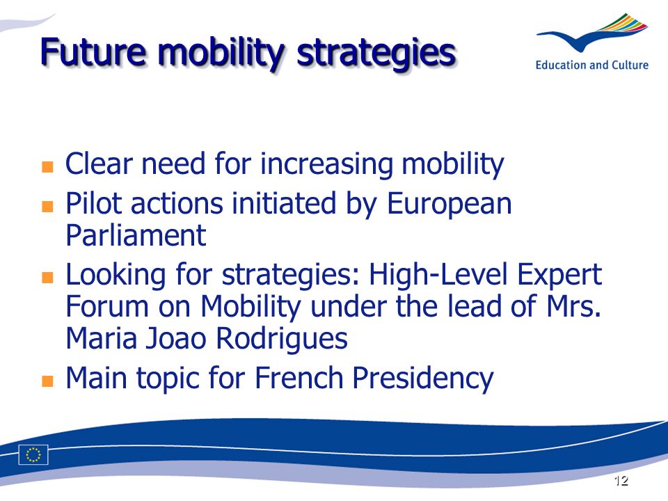 12 Future mobility strategies Clear need for increasing mobility Pilot actions initiated by European Parliament Looking for strategies: High-Level Expert Forum on Mobility under the lead of Mrs.