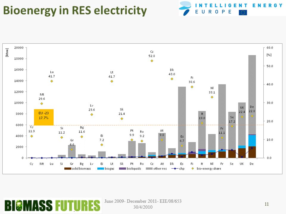 June December EIE/08/653 30/4/ June December EIE/08/653 30/4/ June December EIE/08/653 30/4/ Bioenergy in RES electricity 11