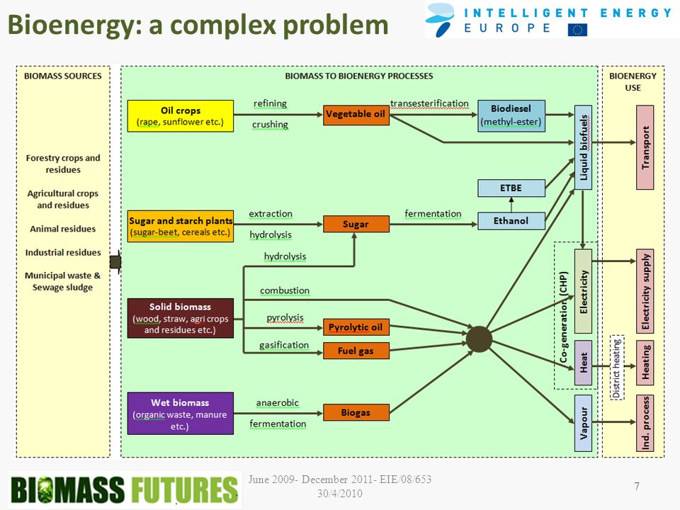 June December EIE/08/653 30/4/ Bioenergy: a complex problem 7
