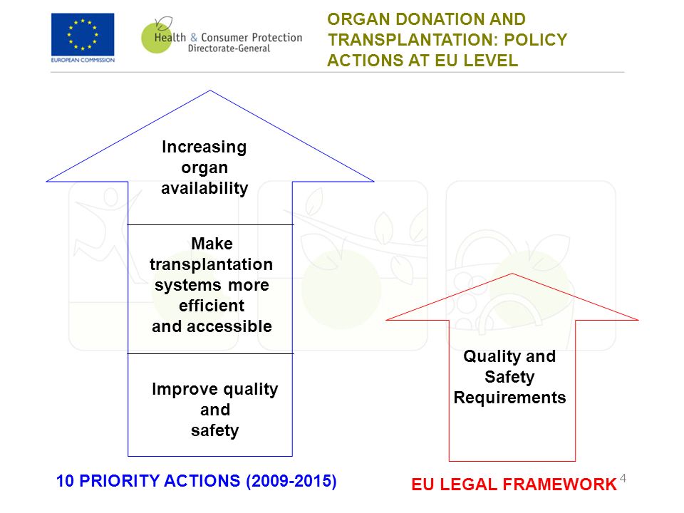 4 ORGAN DONATION AND TRANSPLANTATION: POLICY ACTIONS AT EU LEVEL 10 PRIORITY ACTIONS ( ) Increasing organ availability Make transplantation systems more efficient and accessible Improve quality and safety EU LEGAL FRAMEWORK Quality and Safety Requirements