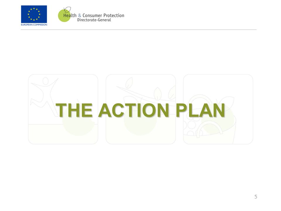 5 THE ACTION PLAN