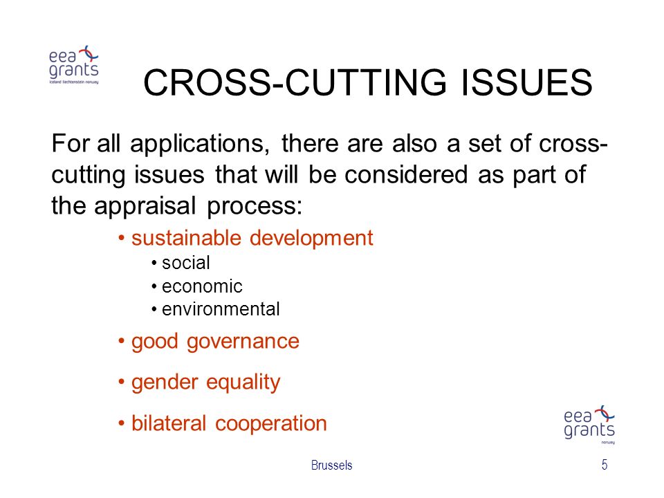Brussels5 CROSS-CUTTING ISSUES For all applications, there are also a set of cross- cutting issues that will be considered as part of the appraisal process: sustainable development social economic environmental good governance gender equality bilateral cooperation