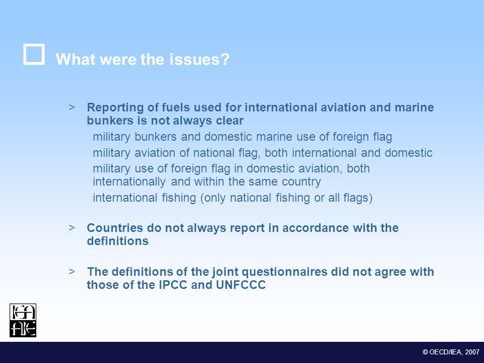 M EDSTAT II Lot 2 Euro-Mediterranean Statistical Co-operation © OECD/IEA, 2007 What were the issues.