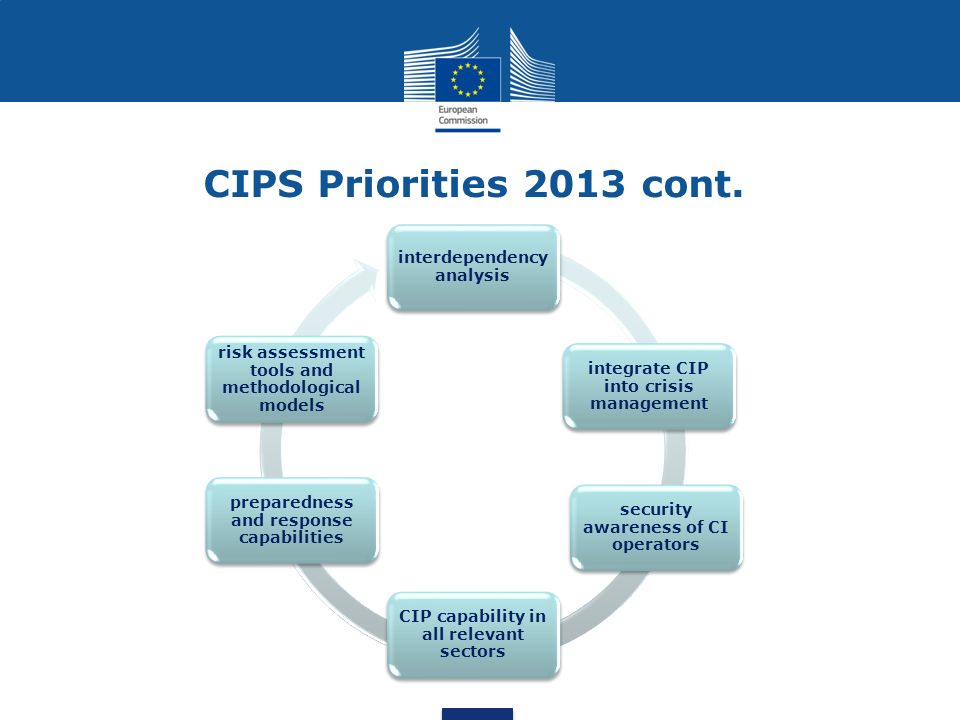 CIPS Priorities 2013 cont.
