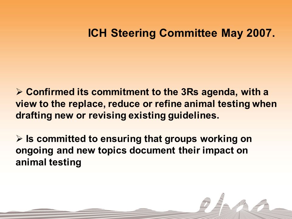 ICH Steering Committee May 2007.
