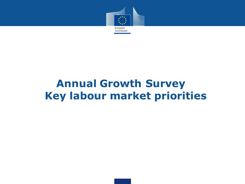 Annual Growth Survey Key labour market priorities