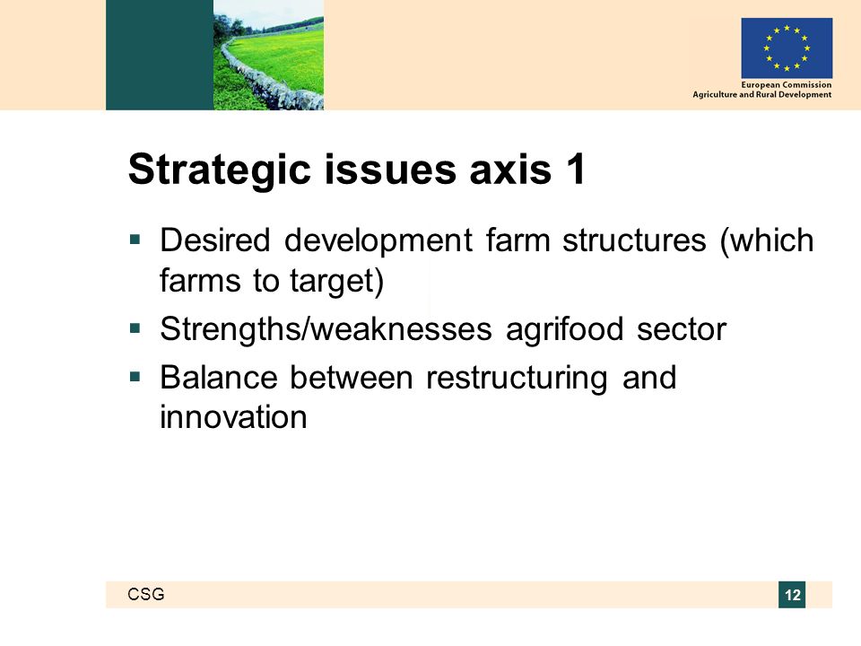CSG 12 Strategic issues axis 1 Desired development farm structures (which farms to target) Strengths/weaknesses agrifood sector Balance between restructuring and innovation