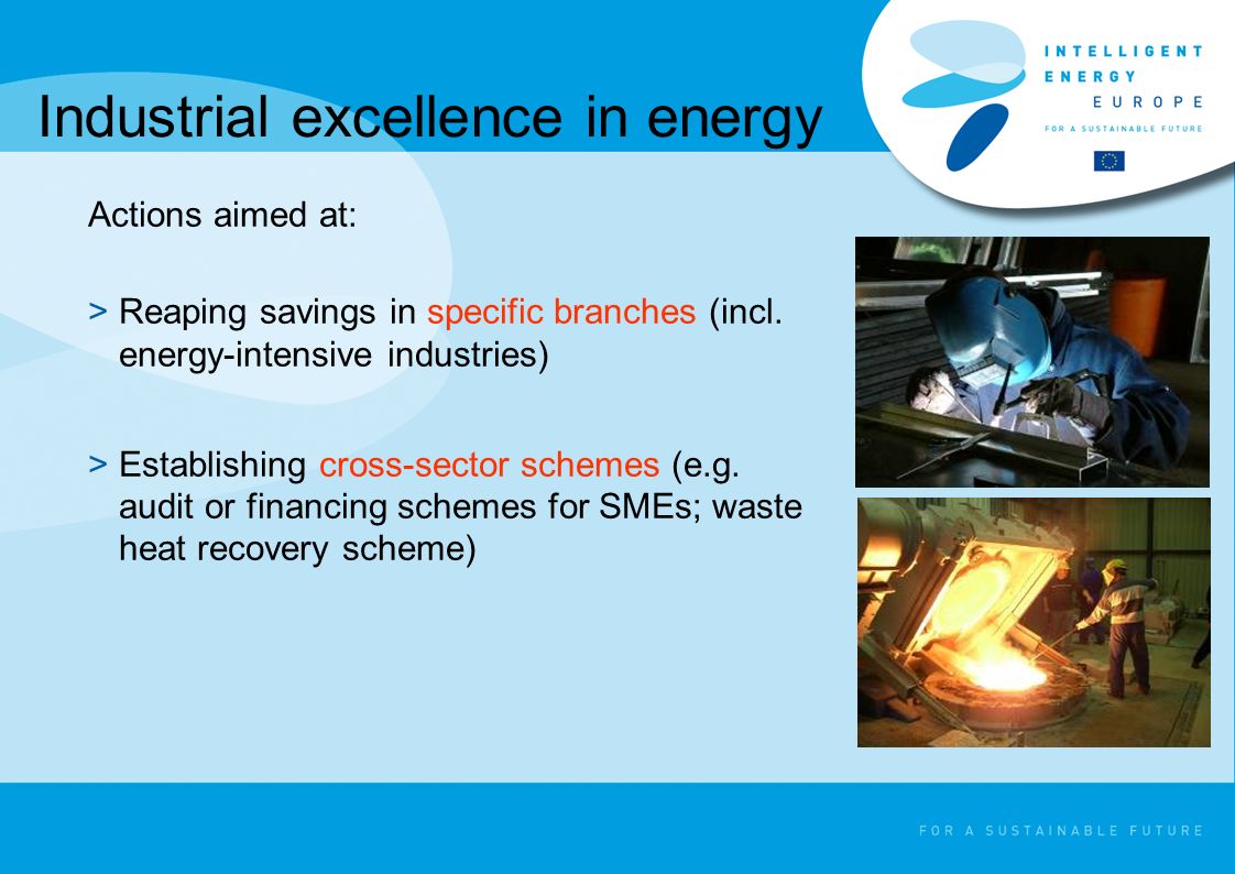 Industrial excellence in energy Actions aimed at: >Reaping savings in specific branches (incl.