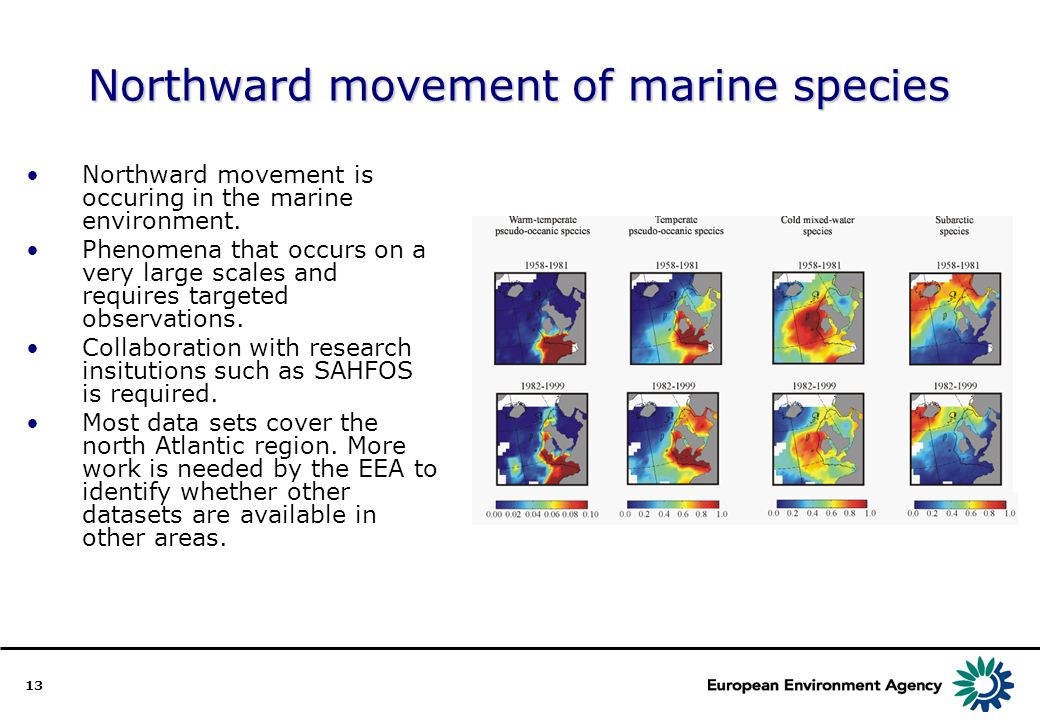 13 Northward movement of marine species Northward movement is occuring in the marine environment.