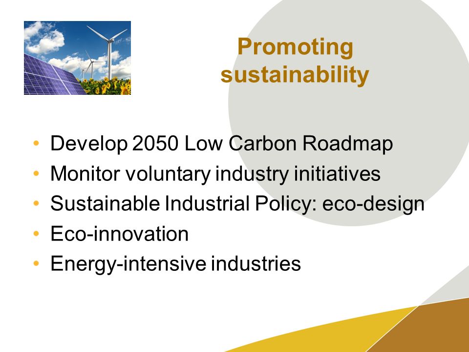 Promoting sustainability Develop 2050 Low Carbon Roadmap Monitor voluntary industry initiatives Sustainable Industrial Policy: eco-design Eco-innovation Energy-intensive industries