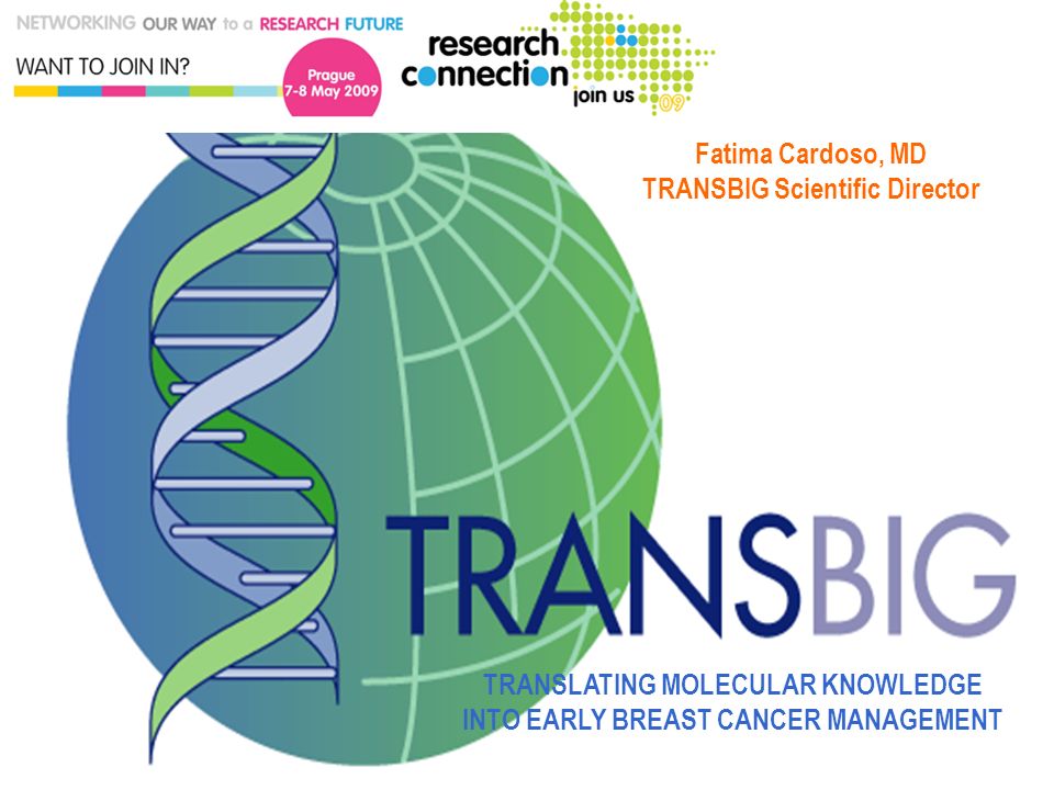 BIG-TRANSBIG HQ– Used with permission TRANSLATING MOLECULAR KNOWLEDGE INTO EARLY BREAST CANCER MANAGEMENT Fatima Cardoso, MD TRANSBIG Scientific Director