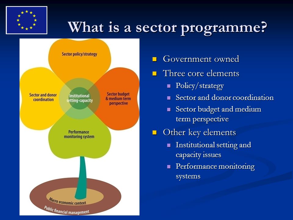 What is a sector programme.
