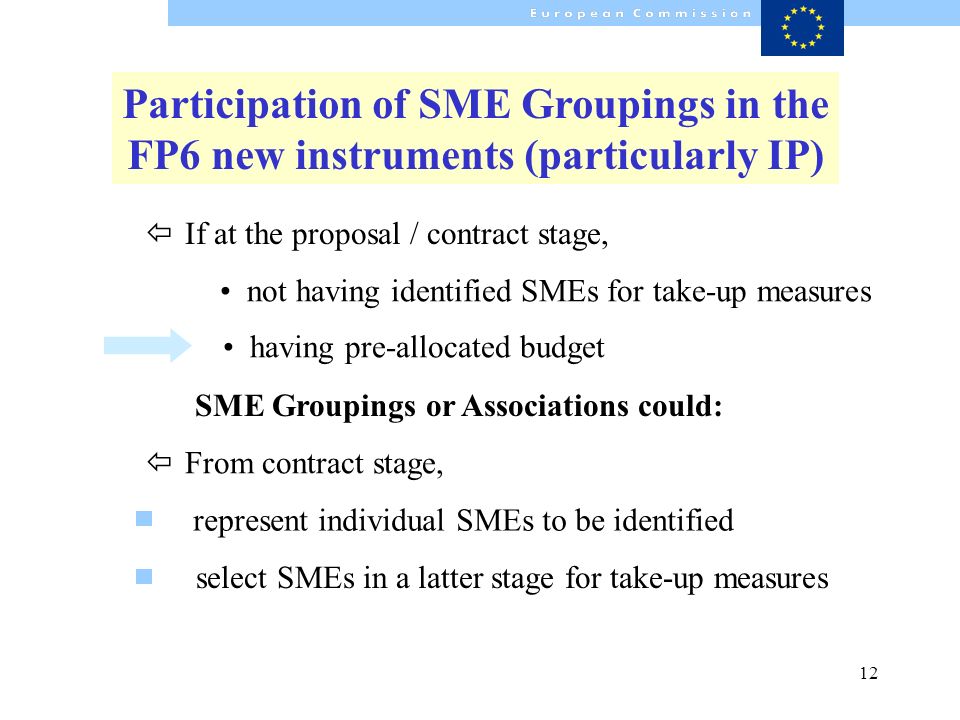 12 SME Groupings or Associations could: having pre-allocated budget select SMEs in a latter stage for take-up measures Participation of SME Groupings in the FP6 new instruments (particularly IP) ï From contract stage, not having identified SMEs for take-up measures ï If at the proposal / contract stage, represent individual SMEs to be identified