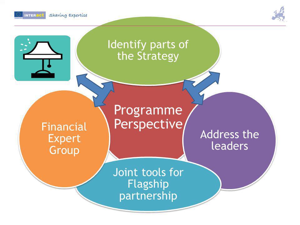 Programme Perspective Identify parts of the Strategy Address the leaders Joint tools for Flagship partnership Financial Expert Group