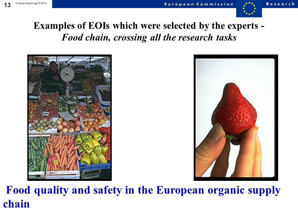12 G.Cardon/Strasbourg/ Examples of EOIs which were selected by the experts - Impact of animal feed on human health New strategies to improve grain legumes for food and feed