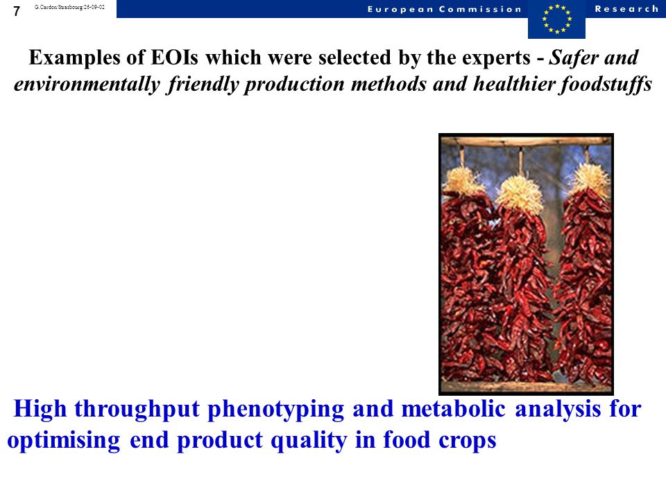6 G.Cardon/Strasbourg/ Examples of EOIs which were selected by the experts - Safer and environmentally friendly production methods and healthier foodstuffs Exploitation of plant biodiversity to reduce pesticide application for disease control