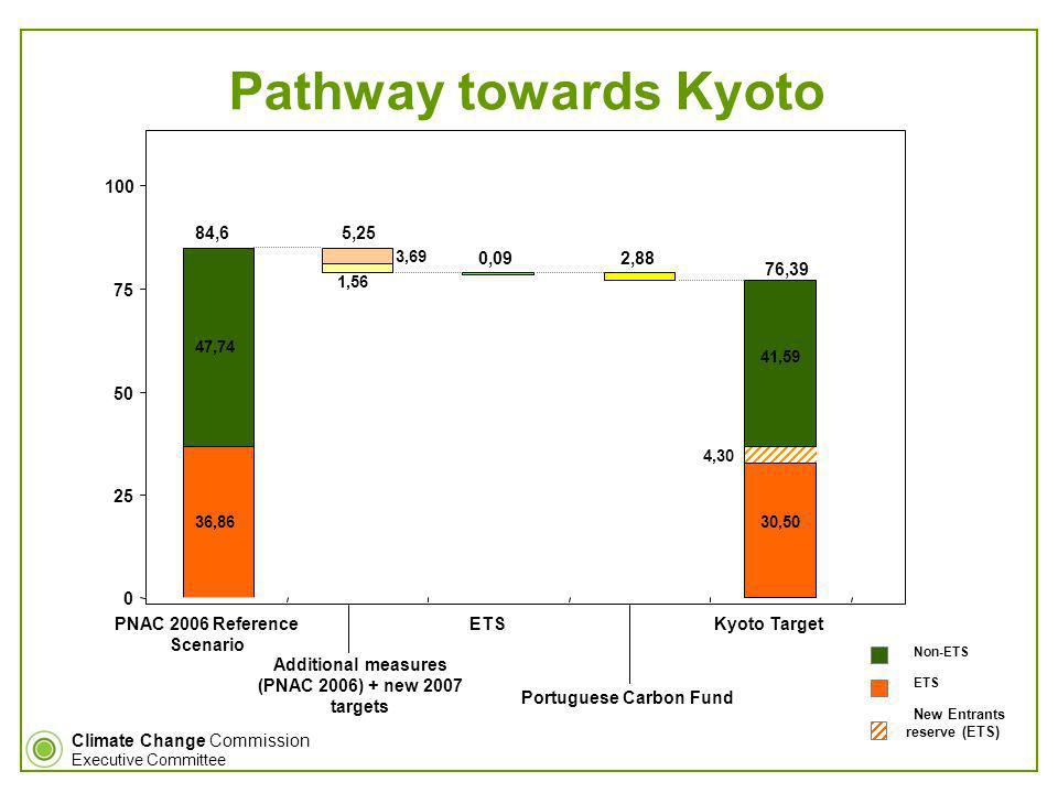 Climate Change Commission Executive Committee Pathway towards Kyoto PNAC 2006 Reference Scenario ETSKyoto Target Additional measures (PNAC 2006) + new 2007 targets Portuguese Carbon Fund Emissões estimadas para 2010 (PNAC 2006) 36,86 4,30 47,74 41,59 1,56 30,5036,86 2,88 3, ,6 5,25 76,39 0,09 New Entrants reserve (ETS) Non-ETS ETS