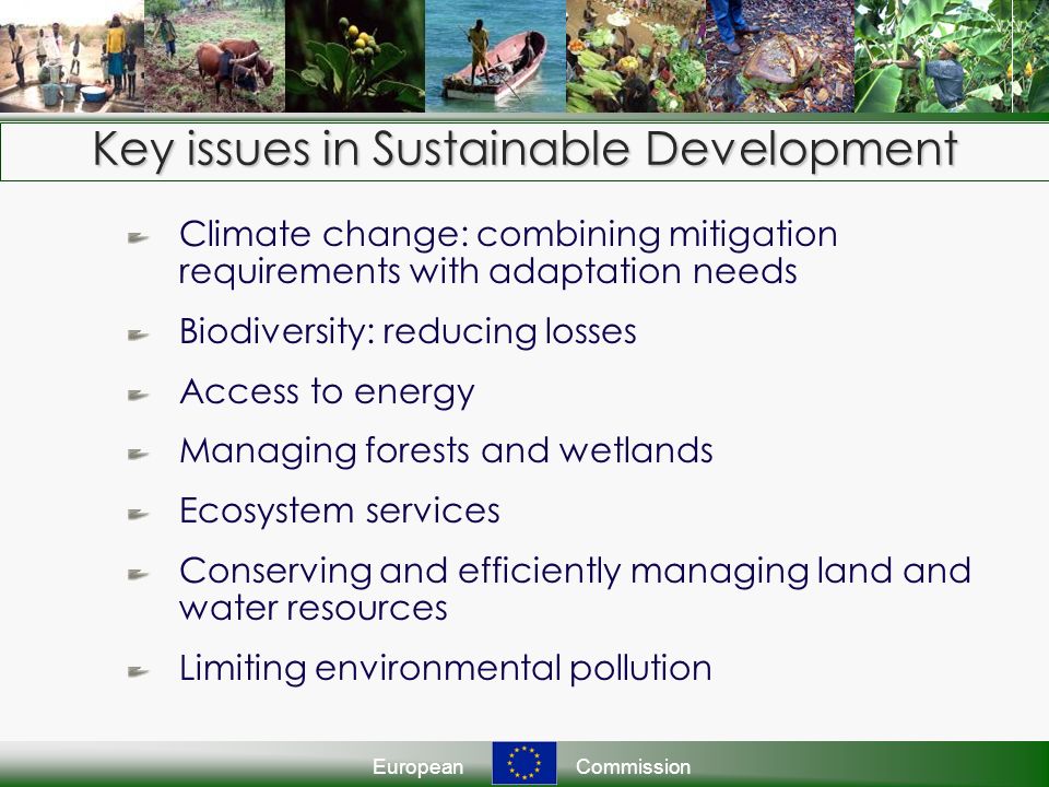 EuropeanCommission Key issues in Sustainable Development Climate change: combining mitigation requirements with adaptation needs Biodiversity: reducing losses Access to energy Managing forests and wetlands Ecosystem services Conserving and efficiently managing land and water resources Limiting environmental pollution