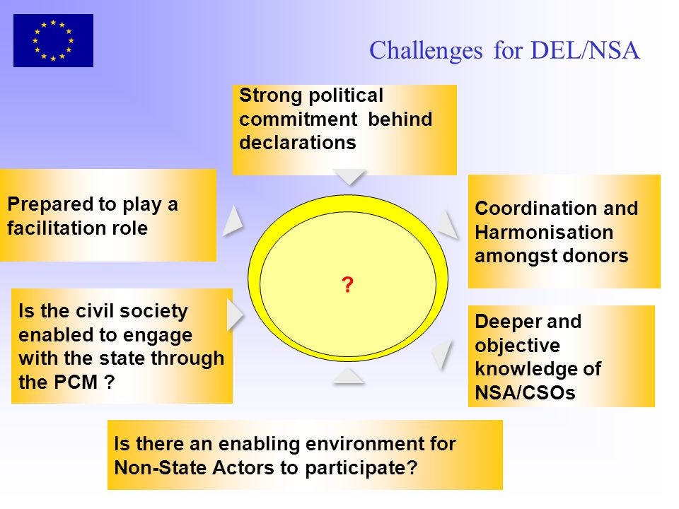 Challenges for DEL/NSA .