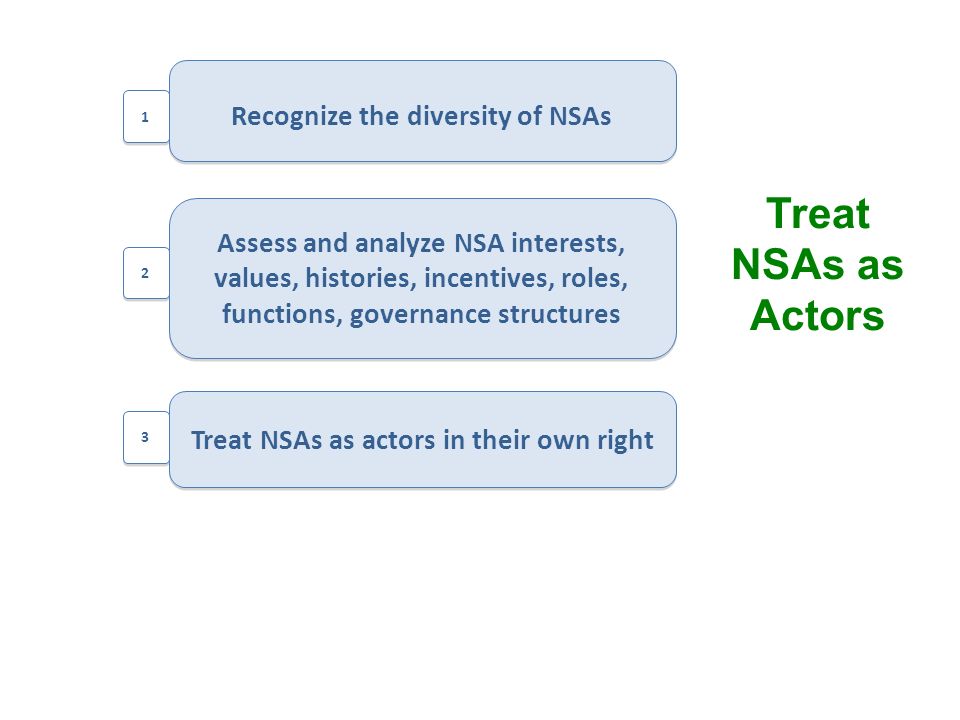 Treat NSAs as actors in their own right Assess and analyze NSA interests, values, histories, incentives, roles, functions, governance structures Assess and analyze NSA interests, values, histories, incentives, roles, functions, governance structures Recognize the diversity of NSAs Treat NSAs as Actors
