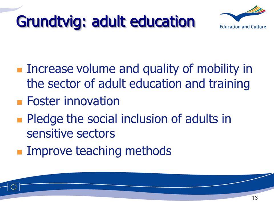 13 Grundtvig: adult education Increase volume and quality of mobility in the sector of adult education and training Foster innovation Pledge the social inclusion of adults in sensitive sectors Improve teaching methods