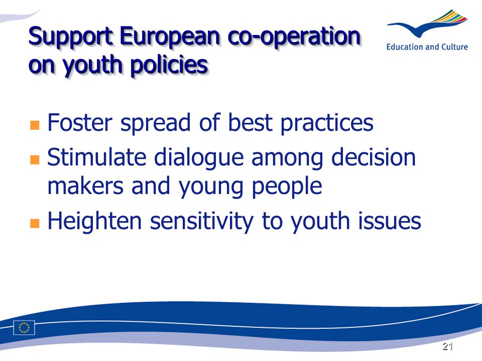 21 Support European co-operation on youth policies Foster spread of best practices Stimulate dialogue among decision makers and young people Heighten sensitivity to youth issues
