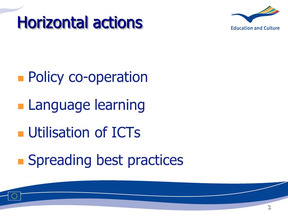 3 Horizontal actions Policy co-operation Language learning Utilisation of ICTs Spreading best practices
